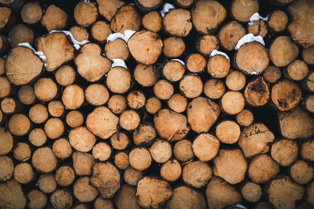 A Beginner's Guide to Choosing Cedar Logs for Construction