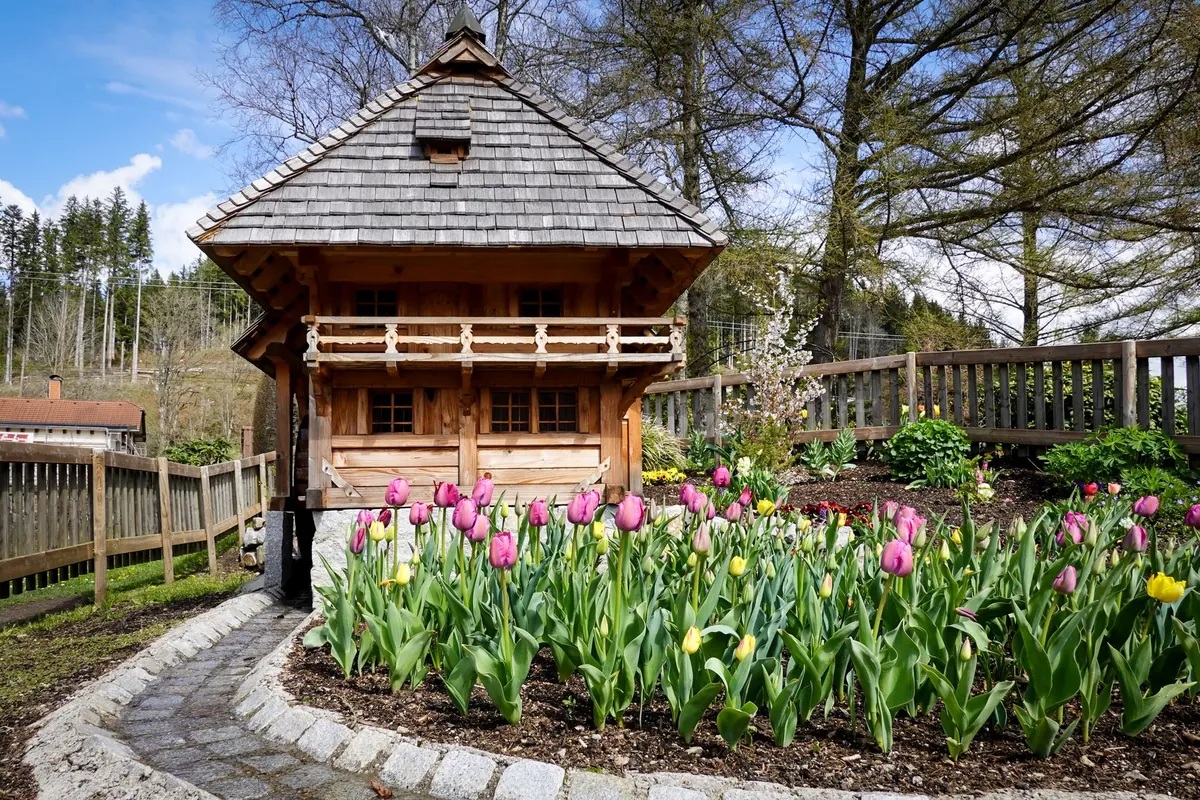 Cedar Log Cabin Planning Permission: Do You Need It in the UK?